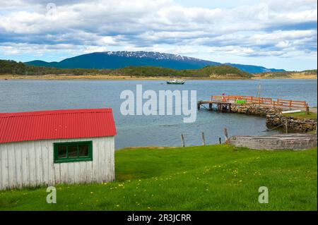 Estancia Haberton et le canal de Beagle, Fireland, Patagonie, Argentine Banque D'Images