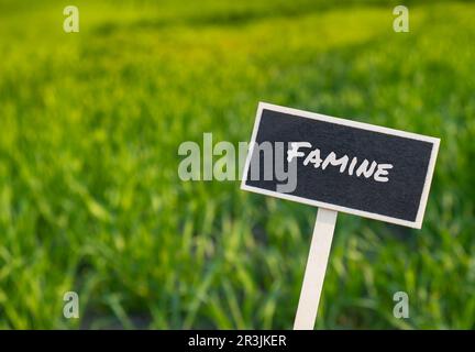 Panneau d'étiquette d'information en bois avec texte FAMINE contre le message de champ d'agriculture défoqué. Faim dans le monde, inflation, prix élevé Banque D'Images