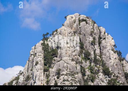 Puig de ses 355 Vers de mts, sierra de Galdent, Llucmajor, Majorque, Iles Baléares, Espagne, Europe. Banque D'Images