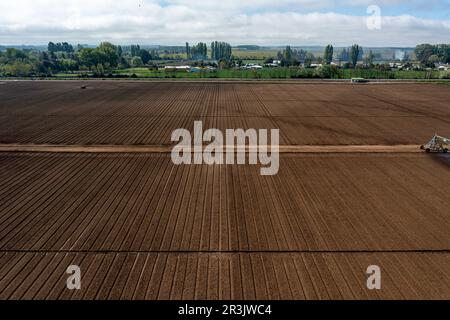 Vue aérienne de dessus d'un autre champ agricole. Tir de drone Banque D'Images
