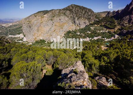 Valle de Belerda, Parque Natural sierras de Cazorla, Segura y Las Villas, Jaén, Andalousie, espagne. Banque D'Images