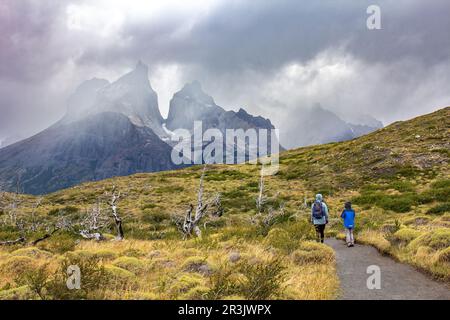 Route vers le point de vue Los Cuernos , parc national Torres del Paine en Patagonie chilienne Banque D'Images
