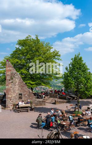 Jardin de bière dans la cour du château de Landeck, Klingenmuenster, Palatinat, Rhénanie-Palatinat, Allemagne, Europe Banque D'Images