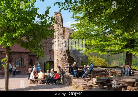 Jardin de bière dans la cour du château de Landeck, Klingenmuenster, Palatinat, Rhénanie-Palatinat, Allemagne, Europe Banque D'Images