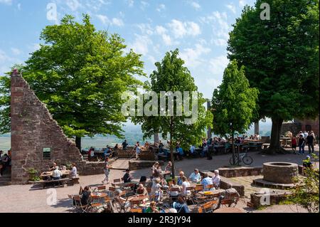 Jardin de bière dans la cour du château de Landeck, Klingenmuenster, Palatinat, Rhénanie-Palatinat, Allemagne, Europe Banque D'Images