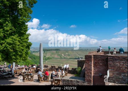 Jardin de bière dans la cour du château de Landeck, Klingenmuenster, Palatinat, Rhénanie-Palatinat, Allemagne, Europe Banque D'Images