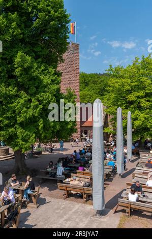 Jardin de bière dans la cour du château de Landeck, Klingenmuenster, Palatinat, Rhénanie-Palatinat, Allemagne, Europe Banque D'Images