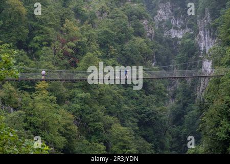 Senderistas con paraguas sobre la pasarela dHoltzarte, gargantas de Holzarté, Larrau, región de Aquitania, departamento de Pirineos Atlánticos, Francia. Banque D'Images