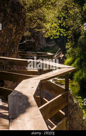 Cerrada de Elias, ruta del rio Borosa, Parque Natural sierras de Cazorla, Segura y Las Villas, Jaén, Andalousie, espagne. Banque D'Images