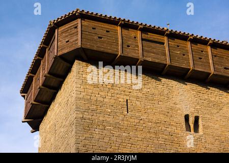 Abizanda ,Pueblo con médiévale torreón del siglo XI ,Provincia de Huesca, Comunidad Autónoma de Aragón, cordillera de los Pirineos, Espagne, Europe. Banque D'Images