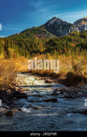 Rivière Halblech dans les Alpes Ammergauer en automne Banque D'Images