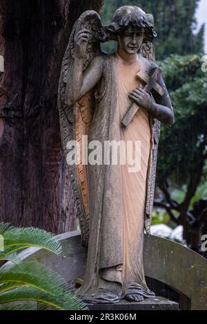 ange de la tombe commémorative appartenant à la famille Ripoll Ballester, cimetière de Soller, Majorque, Iles Baléares, Espagne. Banque D'Images