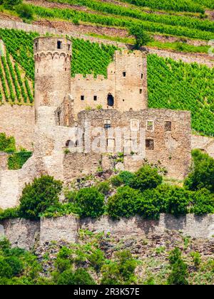 Ehrenfels Burg Castle est un château en ruine au-dessus du Rhin, près de la ville de Rudesheim am Rhein en Allemagne Banque D'Images