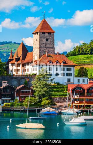 Le Château de Spiez ou Schloss Spiez et Église Schlosskirche près de lac de Thoune dans le canton de Berne ville de Spiez en Suisse Banque D'Images