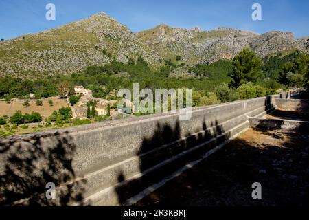 Estanque de sa Bassa, Finca Pública Galatzó, Calvia, Majorque, iles baléares, espagne, europe. Banque D'Images