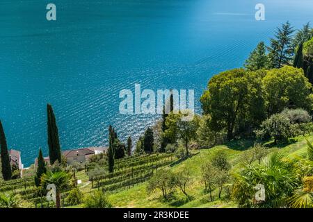 Lac de Lugano et nature paisible de Monte Bre Banque D'Images