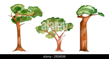 Jeu d'illustrations aquarelles. Arbres africains dessinés à la main dans l'aquarelle sur un fond blanc. Convient pour l'impression sur tissu et papier, livre Banque D'Images