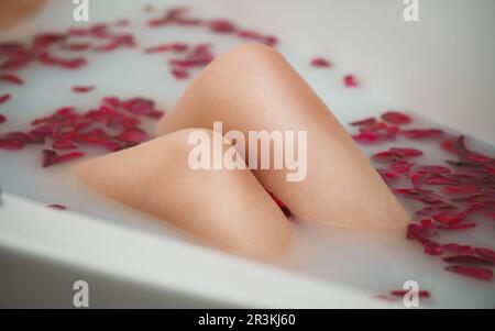 Genoux pour femmes. La femme est dans un bain avec du lait et des pétales de rose. Banque D'Images