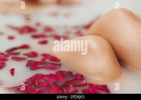 Genoux pour femmes. La femme est dans un bain avec du lait et des pétales de rose. Banque D'Images