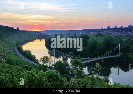 Lac Max-Eyth-See neckar et vignobles à Stuttgart Baden-Württemberg au lever du soleil Banque D'Images