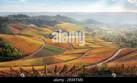 Vue panoramique sur le vignoble de Stuttgart avec la montagne du Mausolée du Württemberg Banque D'Images