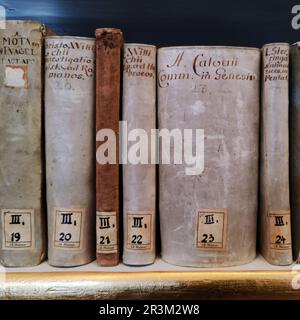 Livres anciens de la Duchesse Bibliothèque Anna Amalia, Weimar, Thuringe, Allemagne, Europe Banque D'Images