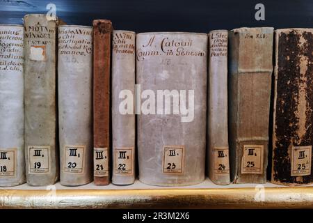 Livres anciens de la Duchesse Bibliothèque Anna Amalia, Weimar, Thuringe, Allemagne, Europe Banque D'Images