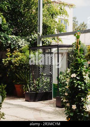 Entrée extérieure agréable au patio de la maison avec des plantes vertes, des fleurs et des arbres dans l'arrière-cour de la maison en été. Concept de jardinage. Banque D'Images