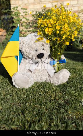 Ours en peluche avec drapeau ukrainien, bouquet de fleurs de buttercup jaunes sur l'herbe Banque D'Images