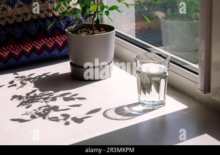 Un verre d'eau de source pure et d'ombres vives Banque D'Images