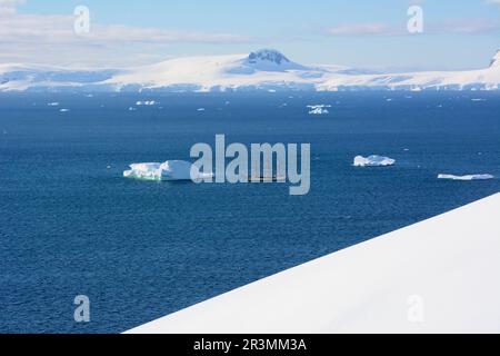 Voile Bark Europa sur une croisière en Antarctique Banque D'Images