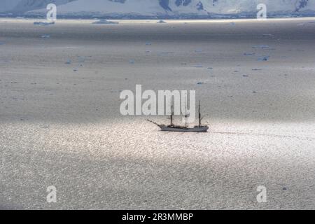 Voile Bark Europa sur une croisière en Antarctique Banque D'Images