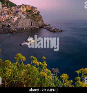 Manarola Village Cinque Terre Côte Italie au coucher du soleil sur la colline surplombant l'océan Banque D'Images