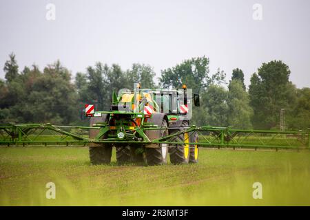 Utilisation de la protection des végétaux dans l'agriculture (Altlussheim, Bade-Wurtemberg) Banque D'Images