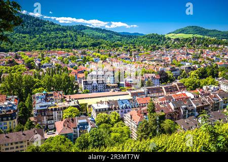 Vue panoramique sur Freiburg im Breisgau, paysage urbain vert, région du Bade-Wurtemberg en Allemagne Banque D'Images