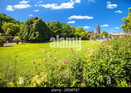 Cathédrale de Fribourg im Breisgau et vue sur le paysage verdoyant, région du Bade-Wurtemberg en Allemagne Banque D'Images