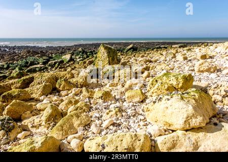 La plage de galets et les falaises de Saint-Pierre-en-Port - une partie des falaises sont effondrées et pile de rochers au pied de la falaise | la plage de ga Banque D'Images