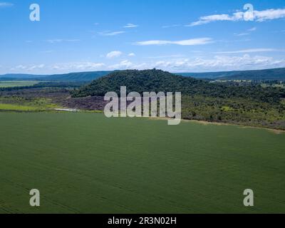 Vue aérienne par drone de la déforestation de la zone brûlée dans la forêt amazonienne à l'intérieur de l'agriculture de soja, Mato Grosso, Brésil. Concept d'environnement, CO2 Banque D'Images