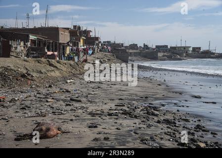 Nicolas Remene / le Pictorium - phénomène El Nino sur la côte nord du Pérou - 07/11/2018 - Pérou / Piura / Islilla - Isla Foca - pêcheurs Banque D'Images