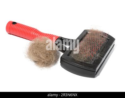 Brosse en plastique et enlever la laine chez les animaux et une touffe de cheveux gris de chat sur un fond blanc Banque D'Images