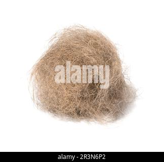 Une touffe de cheveux gris de chat sur un fond blanc isolé Banque D'Images