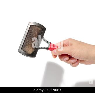 La main d'une femme tient une brosse pour enlever les poils d'animaux sur un fond blanc Banque D'Images