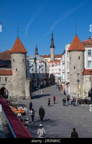 La garde de la porte Viru se dresse à Vanalinn, la vieille ville de Tallinn, en Estonie Banque D'Images