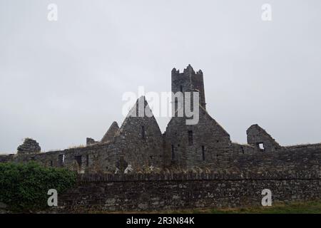 Ruines historiques de Timoleague Friary, comté de Cork, Irlande, République d'Irlande Banque D'Images