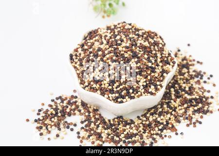 Pile de quinoa cru mélangé, grain sud-américain, dans des bols en verre sur fond blanc rustique en bois. Aliments sains et sans gluten. Copier l'espace. Banque D'Images