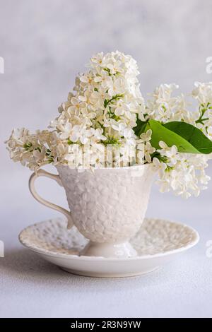 Vue de face d'un bouquet de fleurs blanches dans une tasse en céramique vintage sur une table en béton sur fond flou Banque D'Images