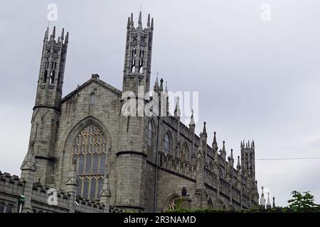 Cathédrale St Patrick Dundalk Banque D'Images