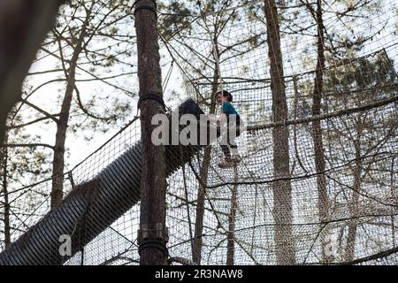 Angle bas d'une fille heureuse de préadolescence dans des vêtements décontractés escalade un hamac contre un ciel nuageux et de grands arbres tout en traînant dans le parc de corde Banque D'Images