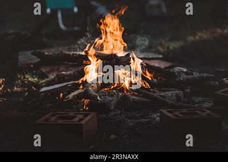 Feu de joie avec des flammes orange de bois brûlant avec des briques autour de lui pendant une nuit sombre dans une forêt sous un fond flou Banque D'Images