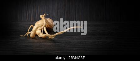 Ginseng sur fond de bois Banque D'Images